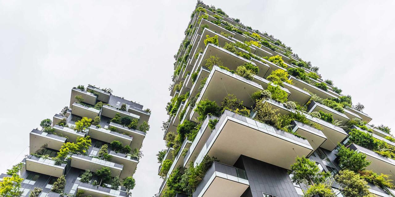Eco-Conscious Building: Sustainable Design Essentials